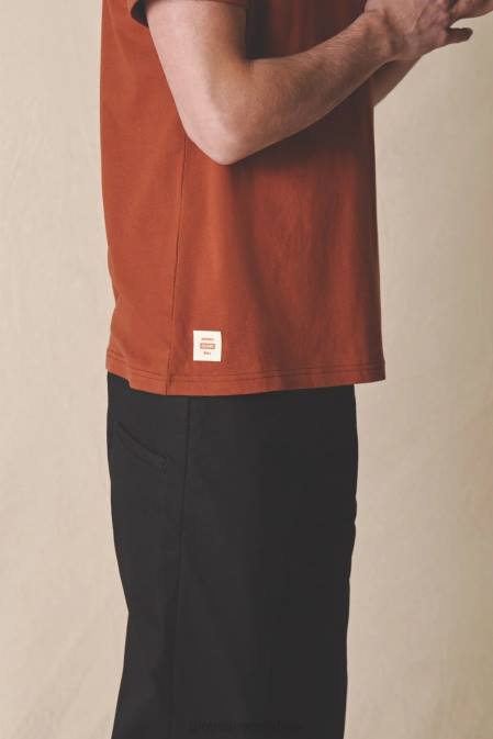 dzīvo zema ātruma tee Globe Brand tumšs valrieksts D2ZH307 apģērbs